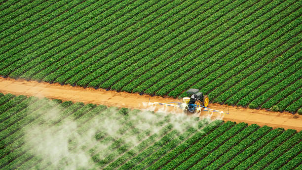 Best Termite Control Services  in West Point, NE