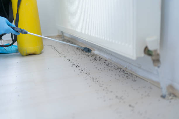 Best Affordable Pest Control Services  in West Point, NE